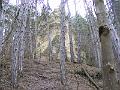 DSCF0135