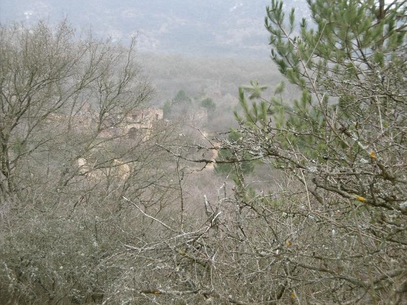 P3340926.JPG