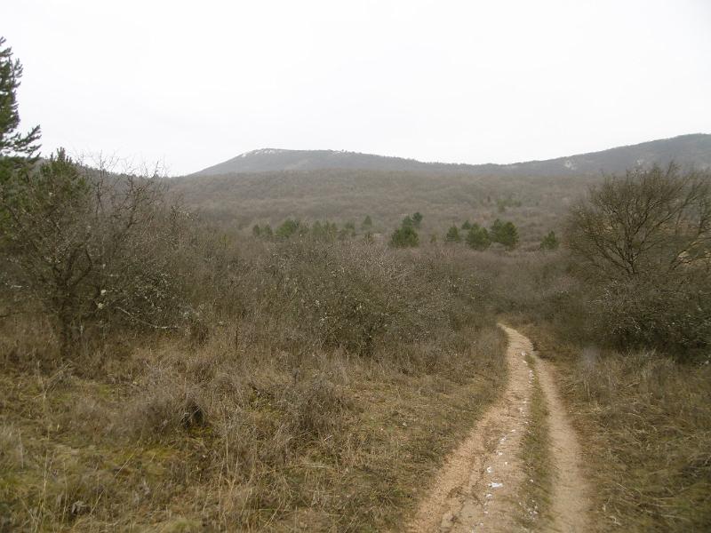 P3340927.JPG