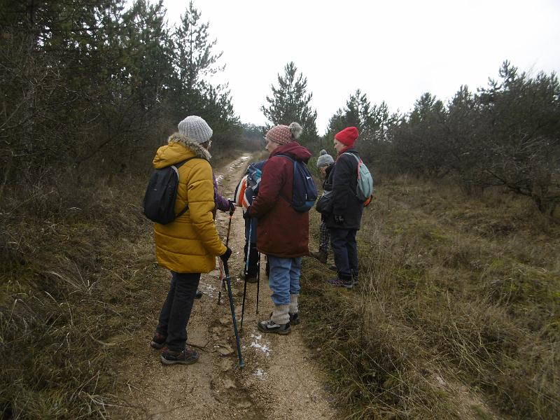 P3340928.JPG