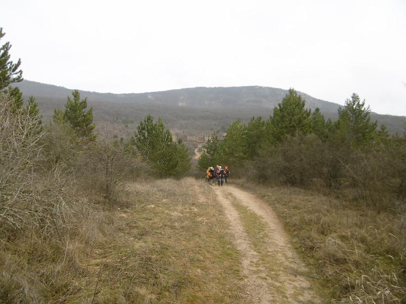 P3340929.JPG