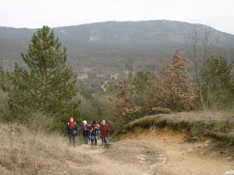 P3340932.JPG