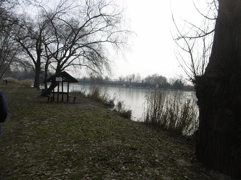 P3340951.JPG