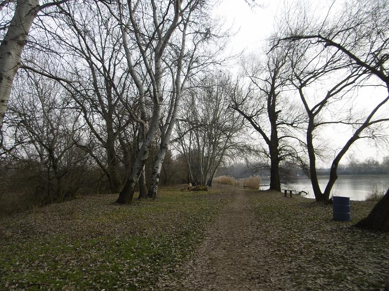 P3340952.JPG