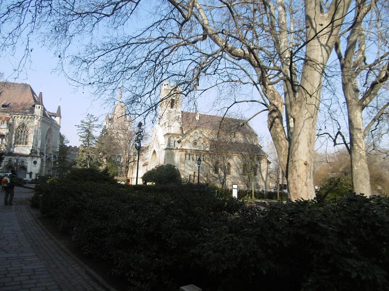 P3340966.JPG