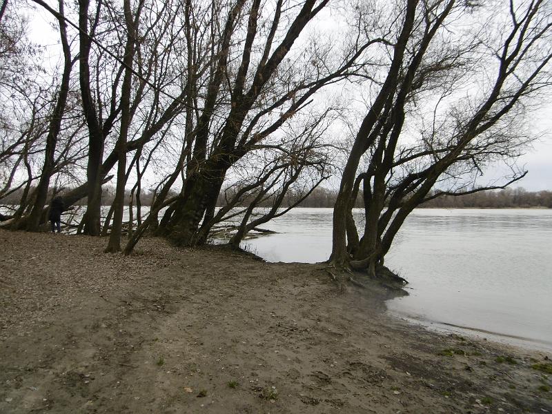 P3350005.JPG