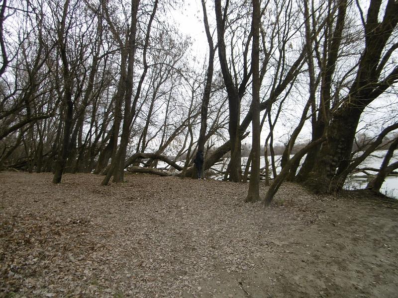 P3350006.JPG