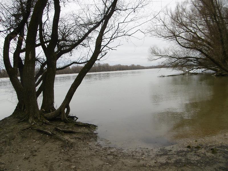 P3350007.JPG
