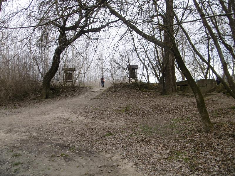 P3350008.JPG