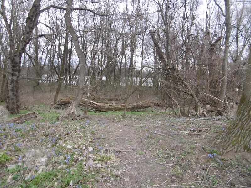 P3350010.JPG