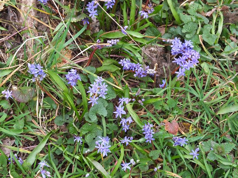 DSCF3091.JPG