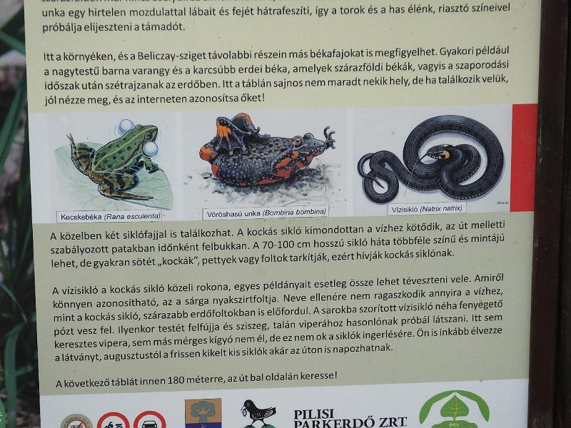 DSCF3098.JPG