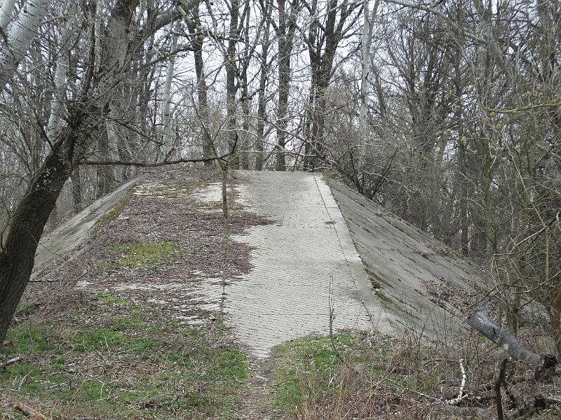 DSCF3110.JPG