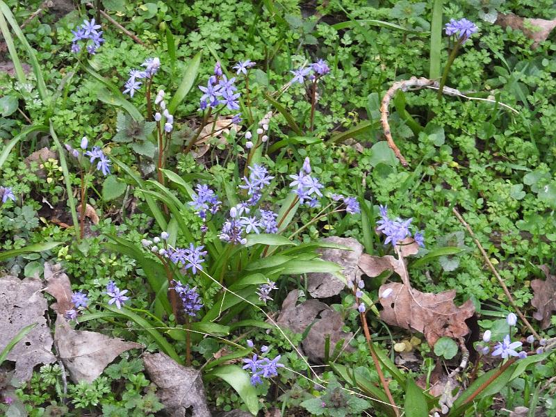 DSCF3121.JPG