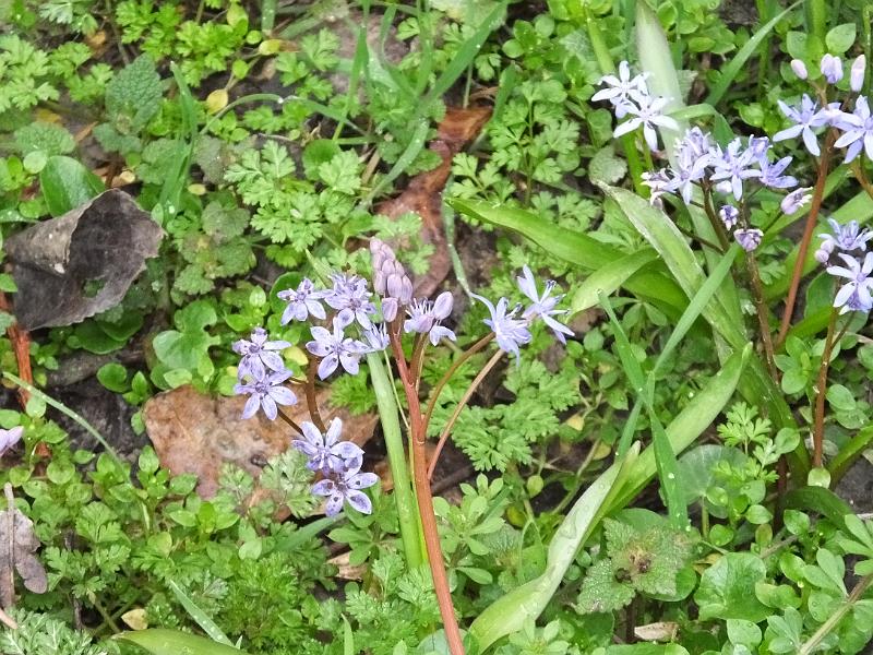 DSCF3122.JPG
