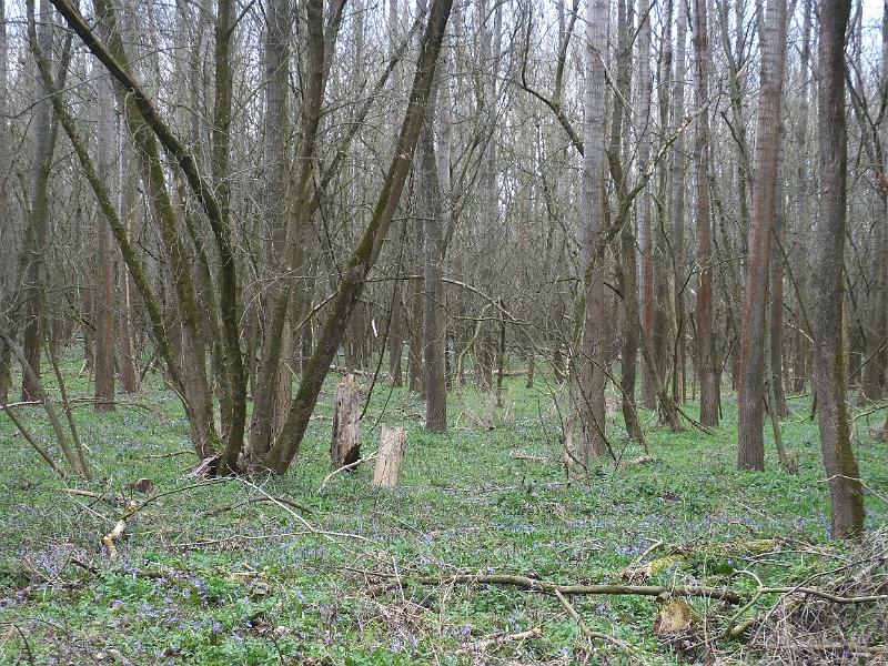 DSCF3123.JPG