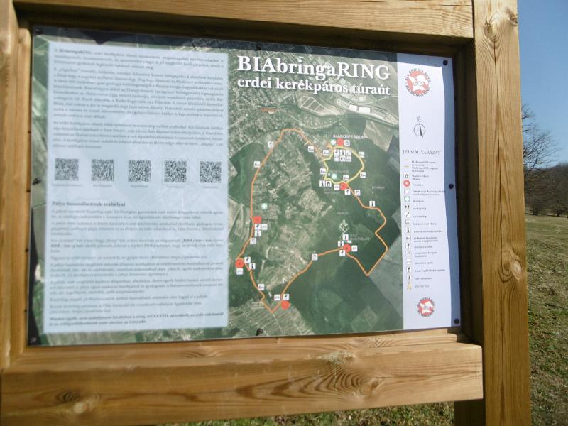 P3350023.JPG