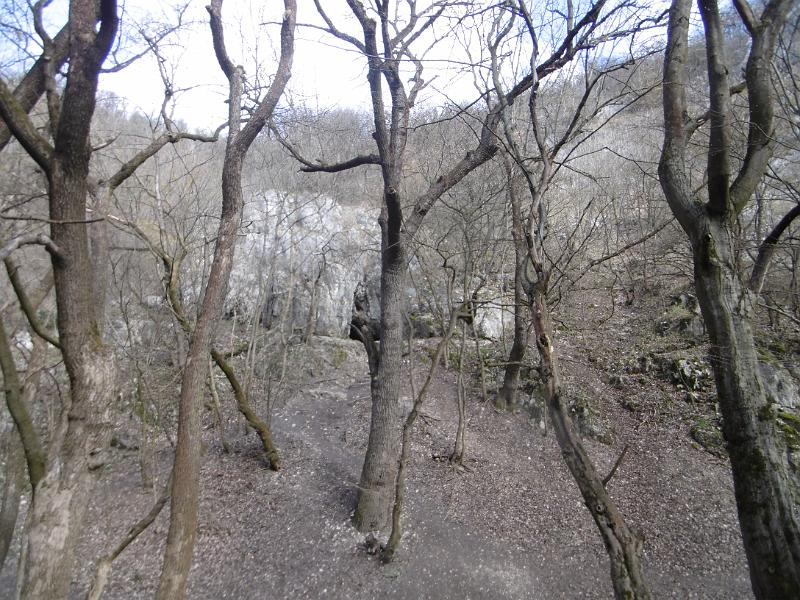 P3350040.JPG