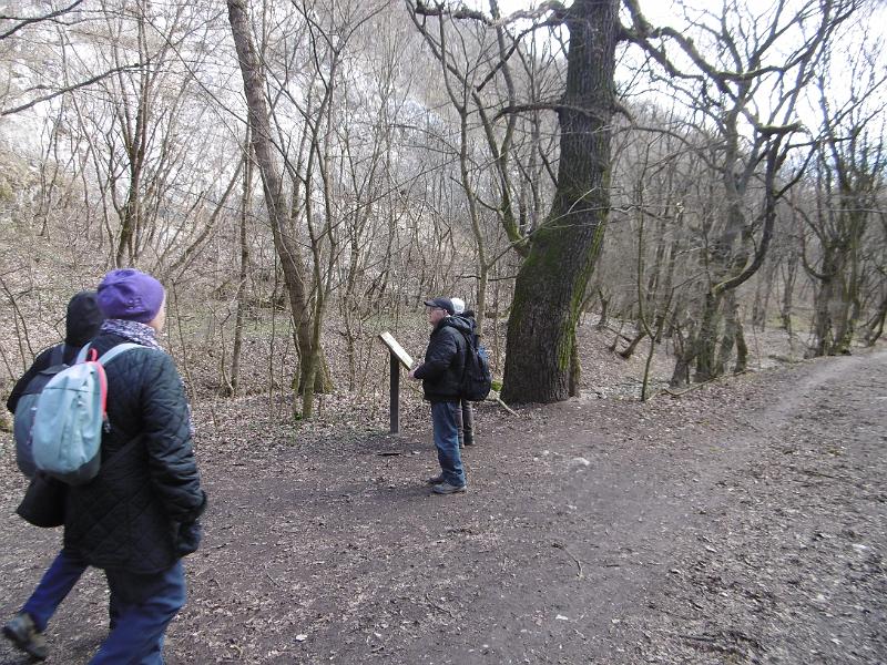 P3350041.JPG
