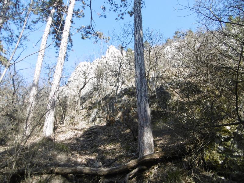 P3350066.JPG