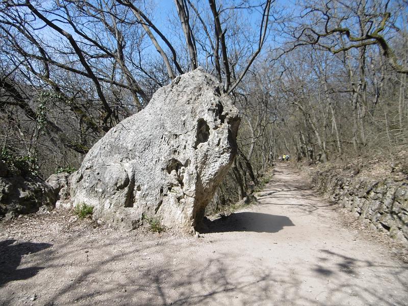 P3350068.JPG