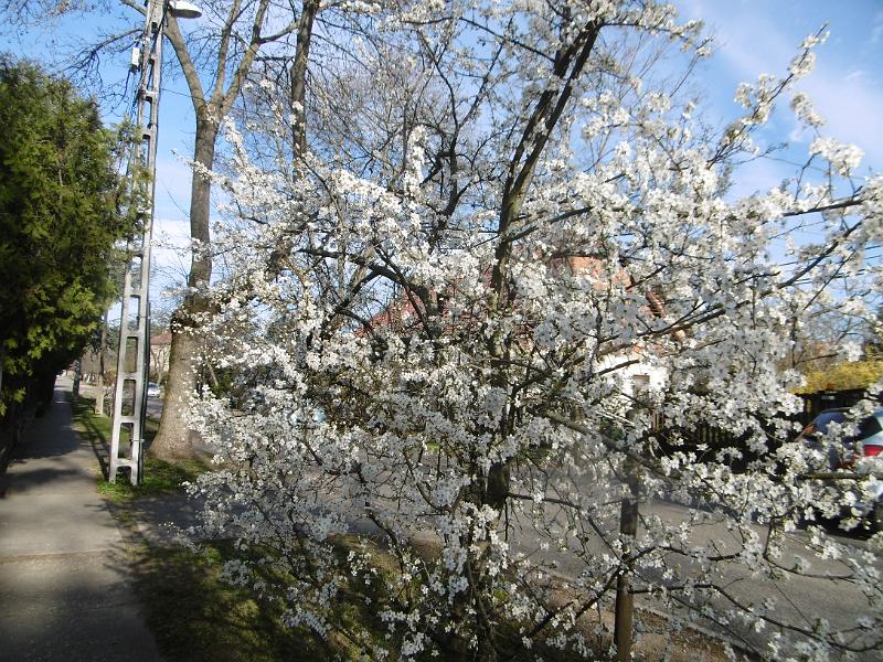 P3350076.JPG
