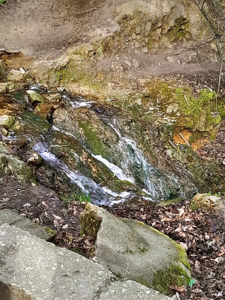 20230401_095842.jpg