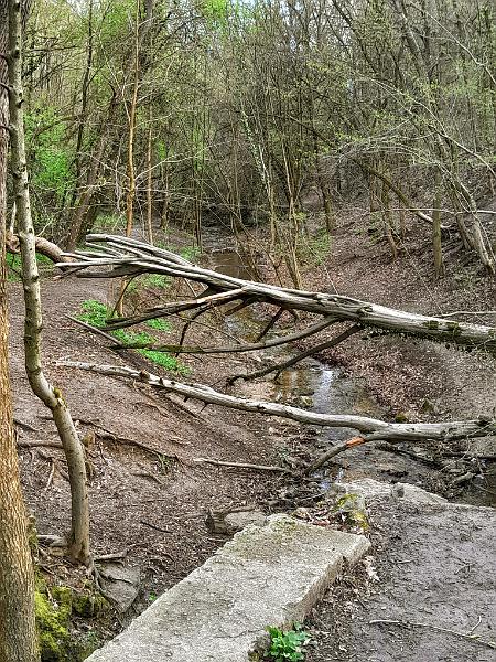 20230401_095855.jpg