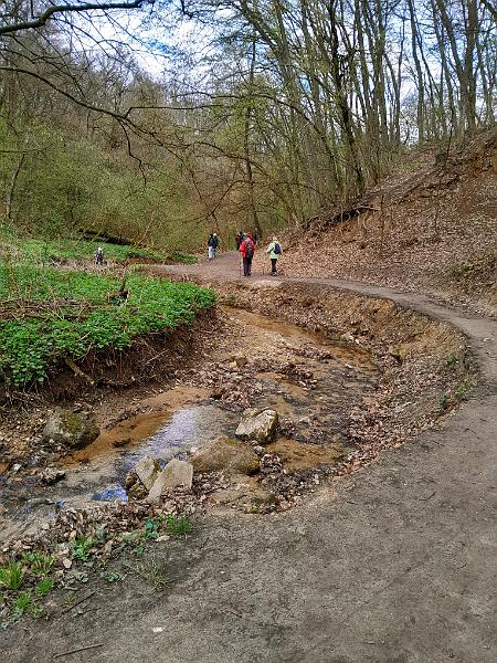 20230401_103648.jpg