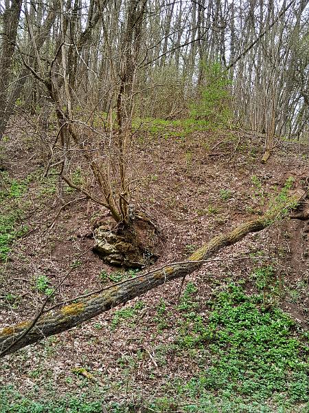 20230401_104205.jpg