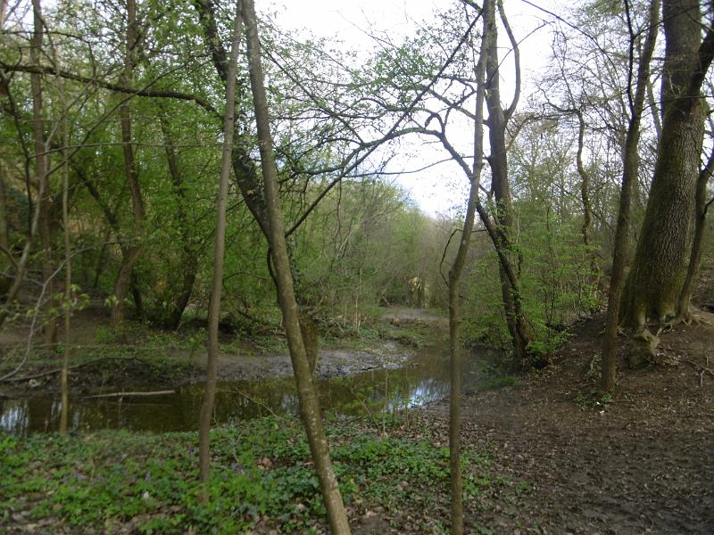P3350105.JPG
