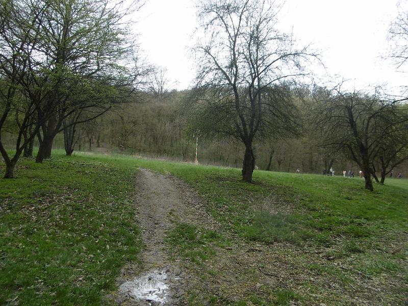 P3350131.JPG