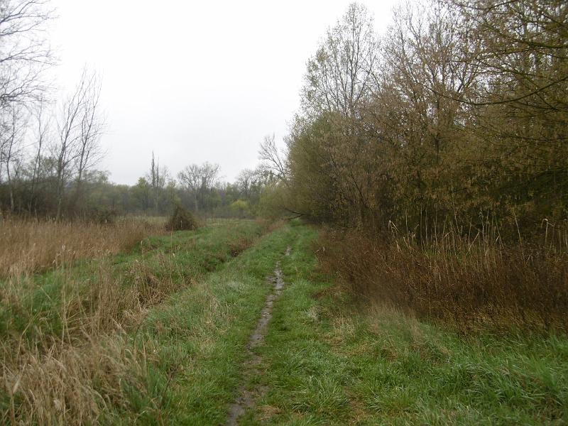 P3350142.JPG