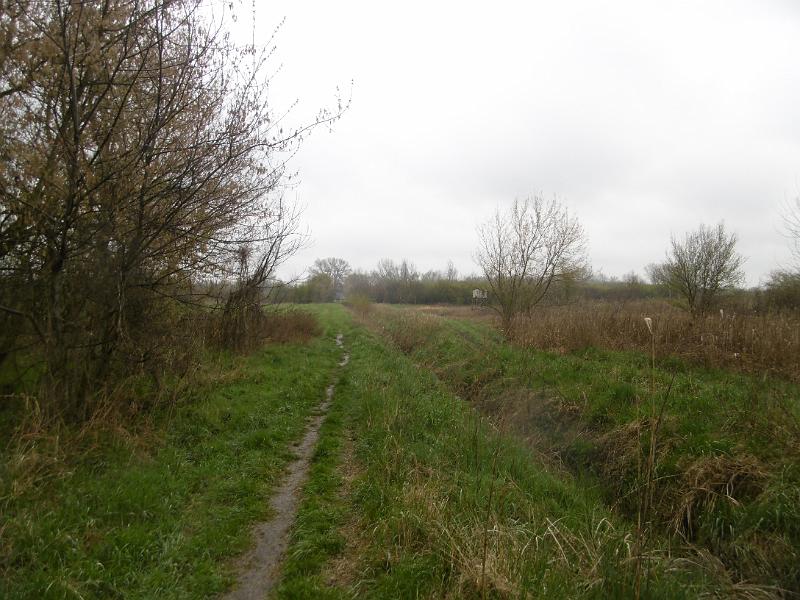 P3350143.JPG