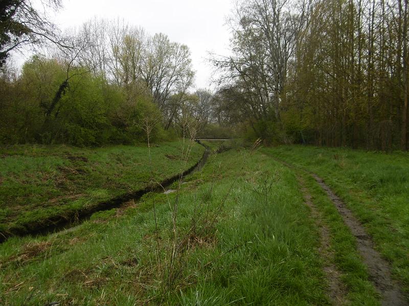 P3350144.JPG