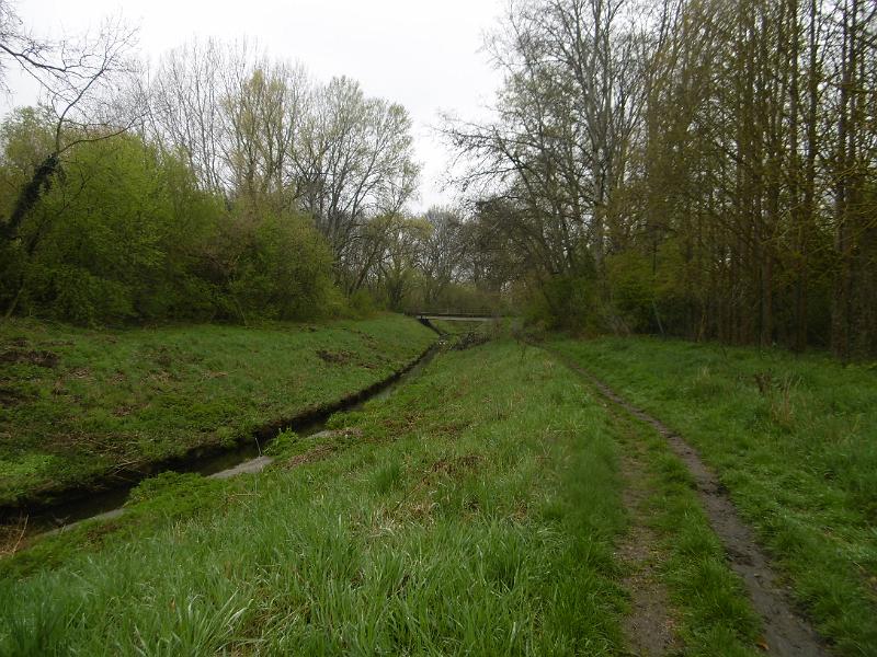 P3350145.JPG