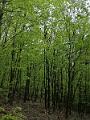 IMG_20230429_113541