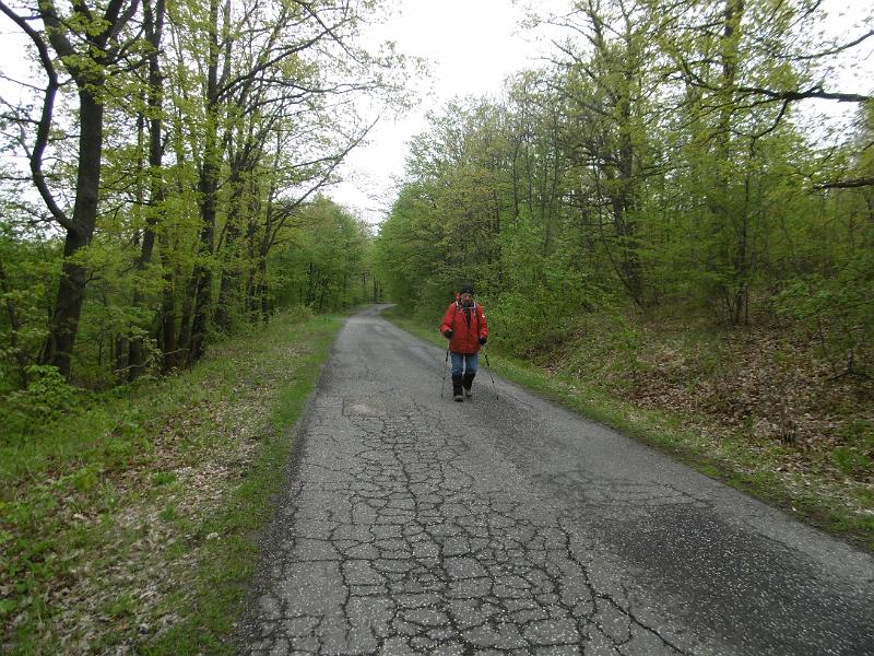 P3350221.JPG