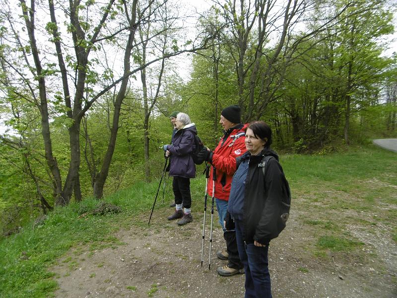 P3350225.JPG