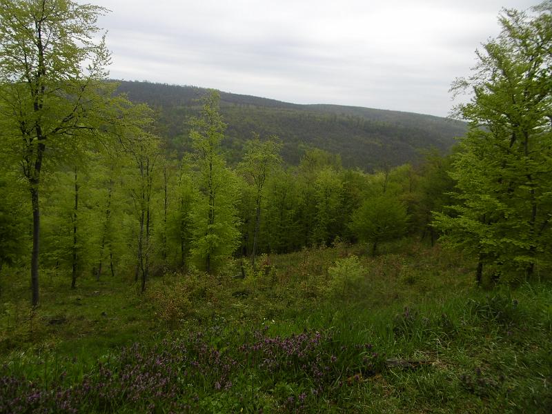 P3350226.JPG