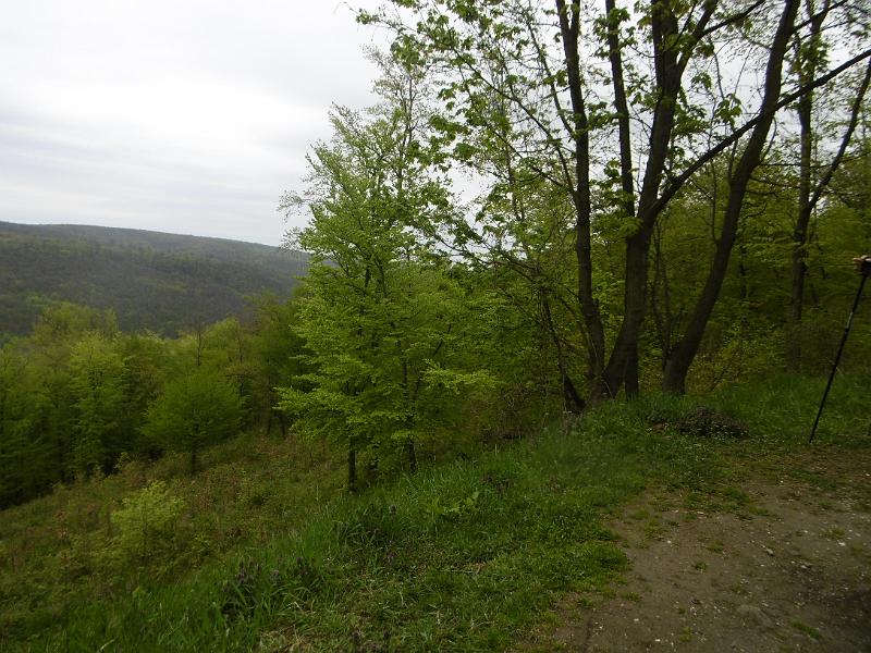 P3350227.JPG