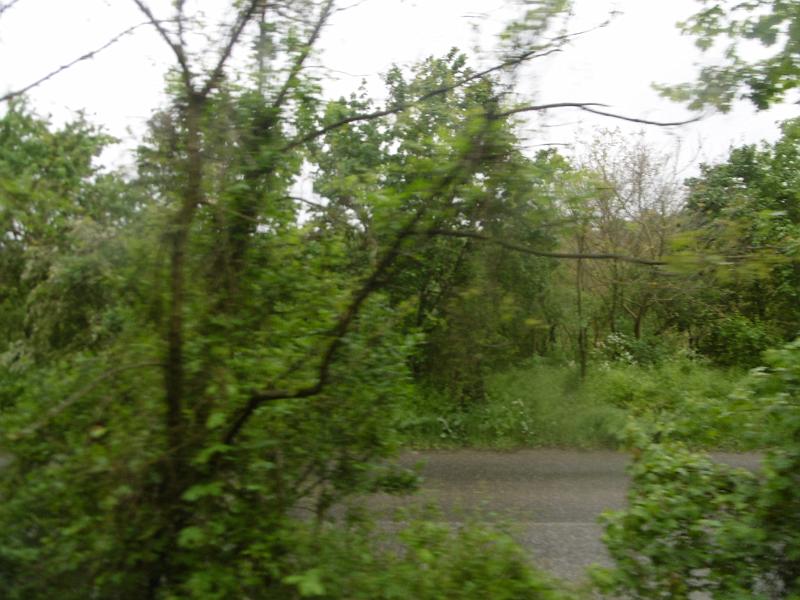 P3350240.JPG