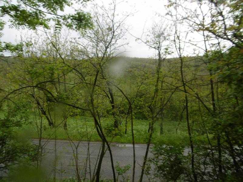 P3350242.JPG