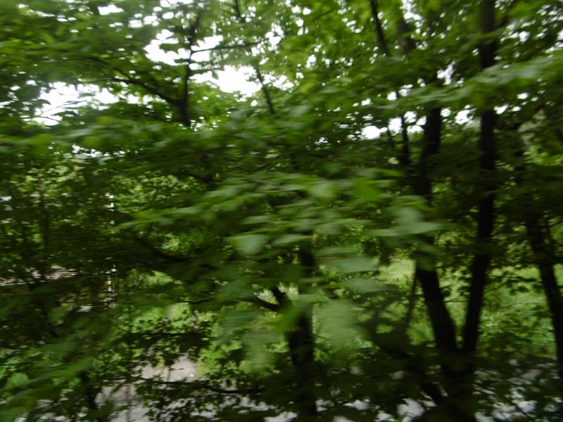 P3350249.JPG