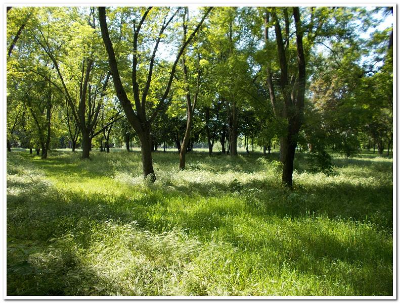 Hajógyár012.jpg