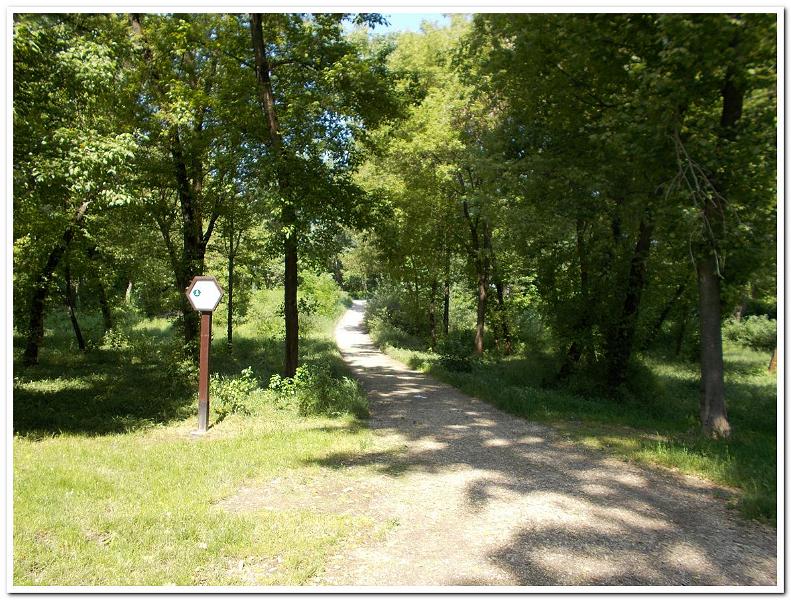 Hajógyár046.jpg
