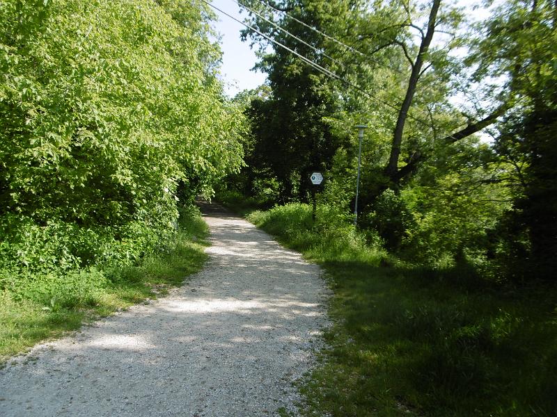 P3350262.JPG