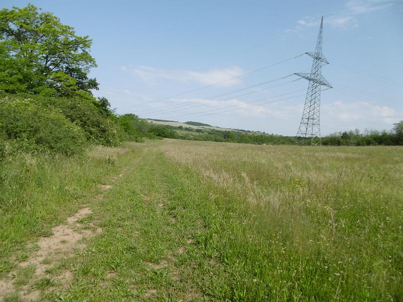 P3350277.JPG