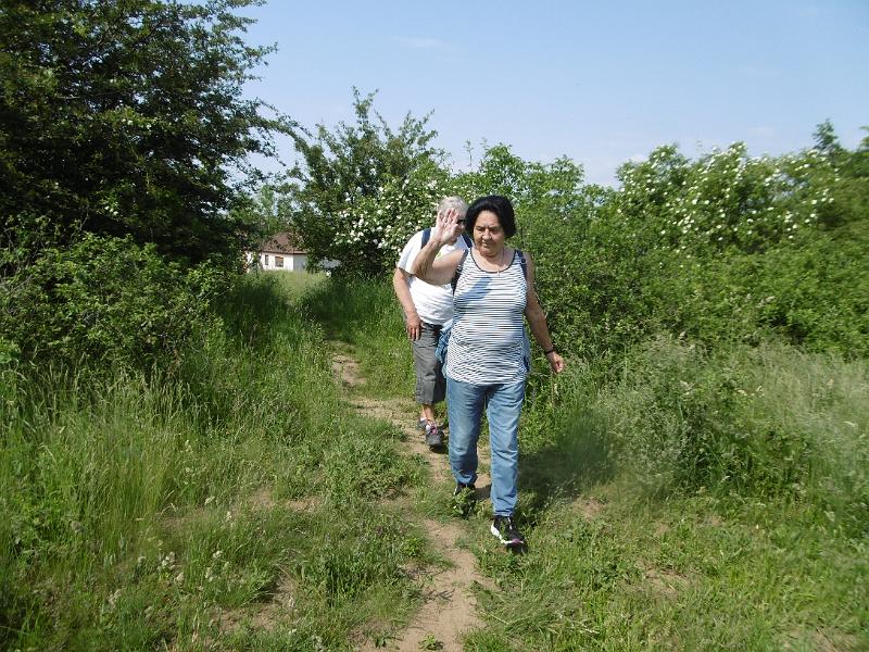 P3350279.JPG