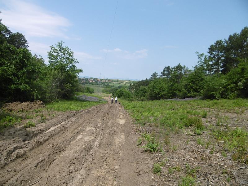 P3350293.JPG